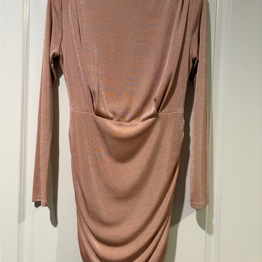 Elegant Long Sleeve Blush Dress